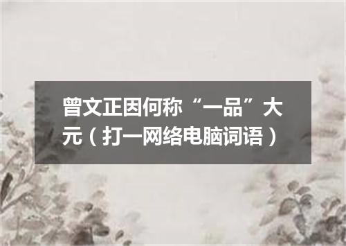 曾文正因何称“一品”大元（打一网络电脑词语）
