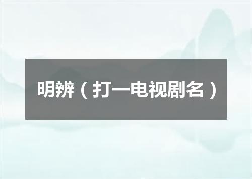 明辨（打一电视剧名）
