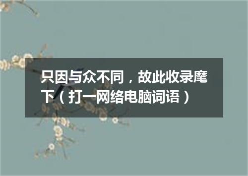 只因与众不同，故此收录麾下（打一网络电脑词语）