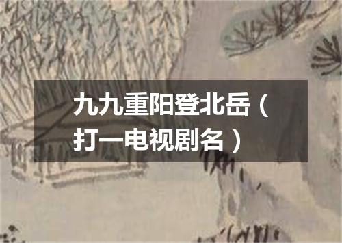 九九重阳登北岳（打一电视剧名）