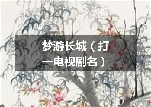 梦游长城（打一电视剧名）