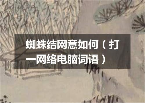 蜘蛛结网意如何（打一网络电脑词语）
