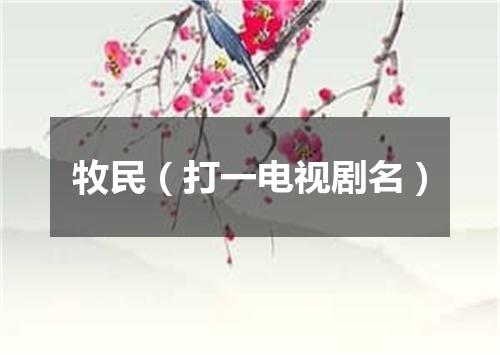 牧民（打一电视剧名）