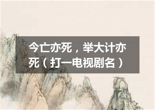 今亡亦死，举大计亦死（打一电视剧名）