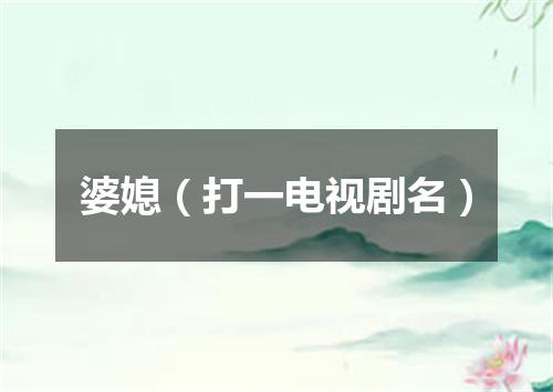 婆媳（打一电视剧名）