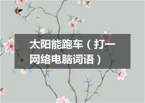 太阳能跑车（打一网络电脑词语）