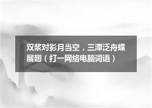 双浆对影月当空，三潭泛舟蝶展翅（打一网络电脑词语）