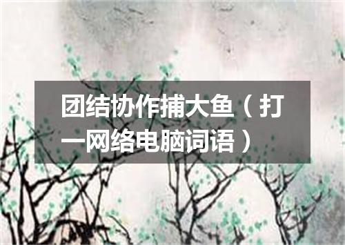 团结协作捕大鱼（打一网络电脑词语）