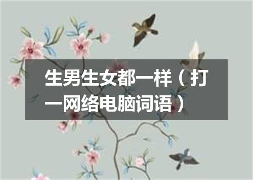 生男生女都一样（打一网络电脑词语）