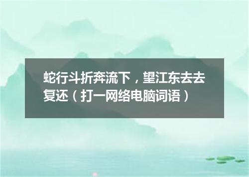 蛇行斗折奔流下，望江东去去复还（打一网络电脑词语）
