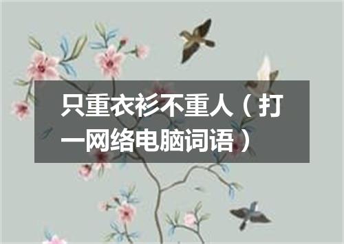 只重衣衫不重人（打一网络电脑词语）
