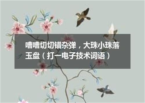 嘈嘈切切错杂弹，大珠小珠落玉盘（打一电子技术词语）