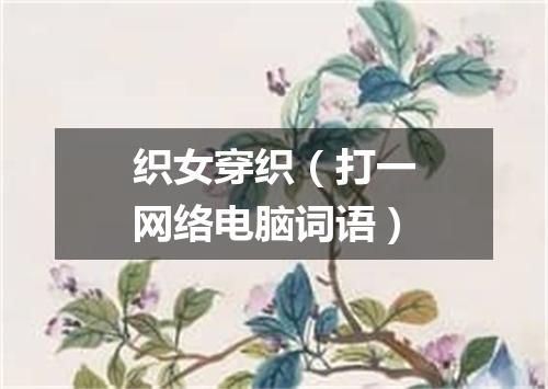 织女穿织（打一网络电脑词语）