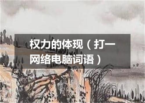 权力的体现（打一网络电脑词语）