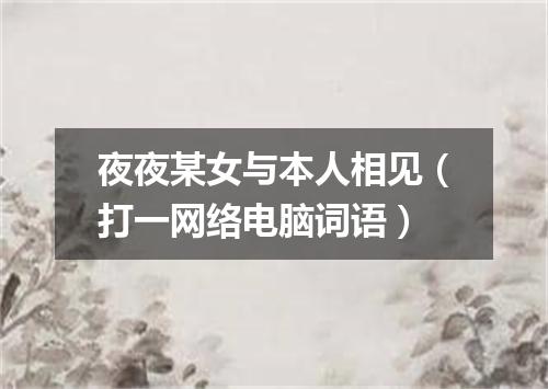 夜夜某女与本人相见（打一网络电脑词语）