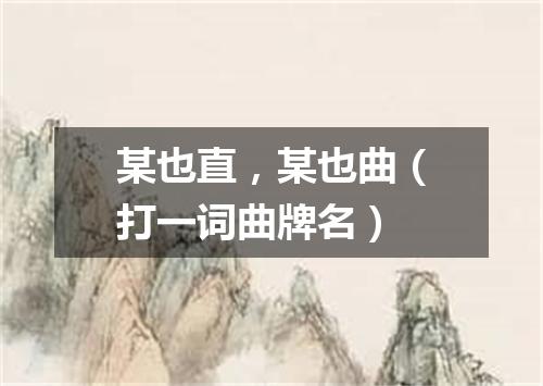 某也直，某也曲（打一词曲牌名）
