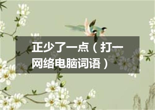 正少了一点（打一网络电脑词语）