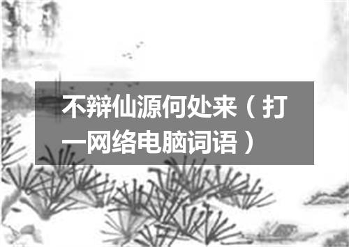 不辩仙源何处来（打一网络电脑词语）