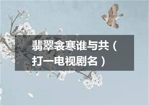 翡翠衾寒谁与共（打一电视剧名）