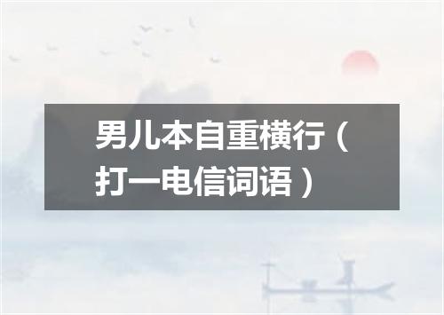 男儿本自重横行（打一电信词语）