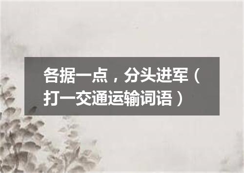 各据一点，分头进军（打一交通运输词语）