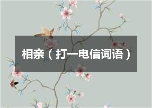 相亲（打一电信词语）