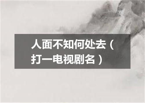 人面不知何处去（打一电视剧名）