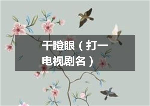 干瞪眼（打一电视剧名）