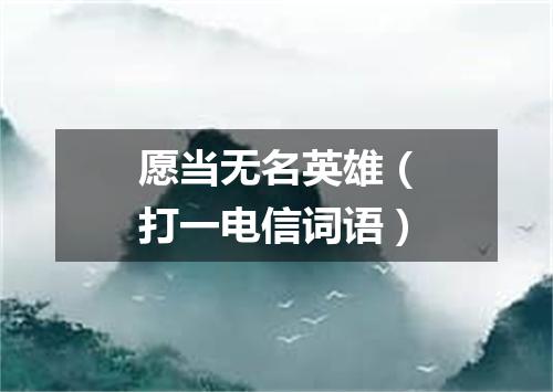 愿当无名英雄（打一电信词语）