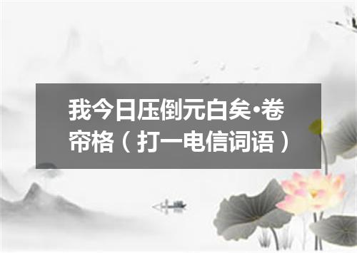 我今日压倒元白矣·卷帘格（打一电信词语）