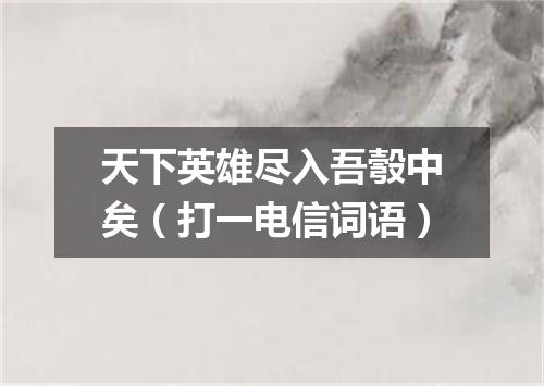天下英雄尽入吾彀中矣（打一电信词语）