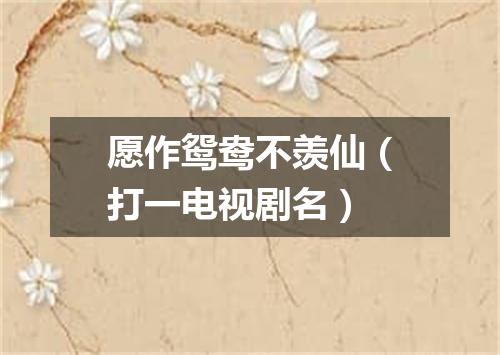 愿作鸳鸯不羡仙（打一电视剧名）
