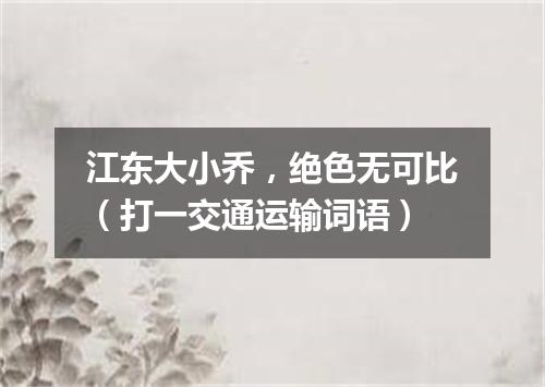 江东大小乔，绝色无可比（打一交通运输词语）