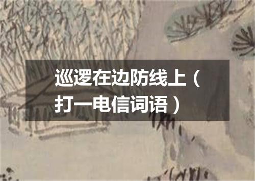 巡逻在边防线上（打一电信词语）