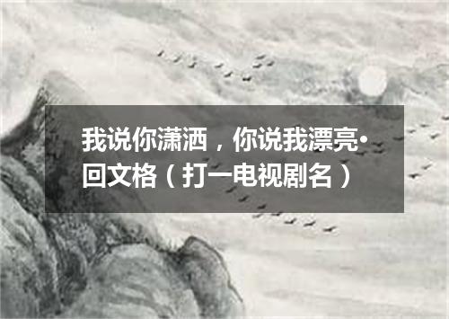 我说你潇洒，你说我漂亮·回文格（打一电视剧名）