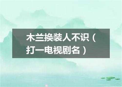 木兰换装人不识（打一电视剧名）