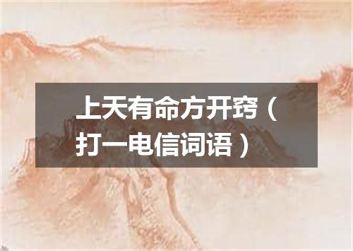 上天有命方开窍（打一电信词语）