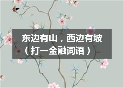 东边有山，西边有坡（打一金融词语）