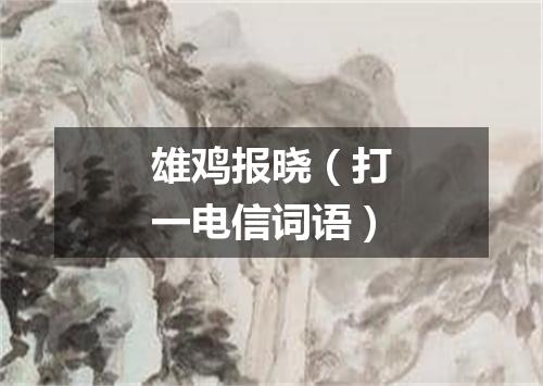 雄鸡报晓（打一电信词语）