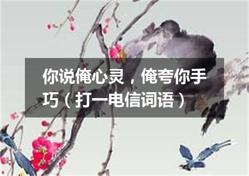 你说俺心灵，俺夸你手巧（打一电信词语）
