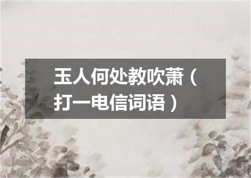 玉人何处教吹萧（打一电信词语）