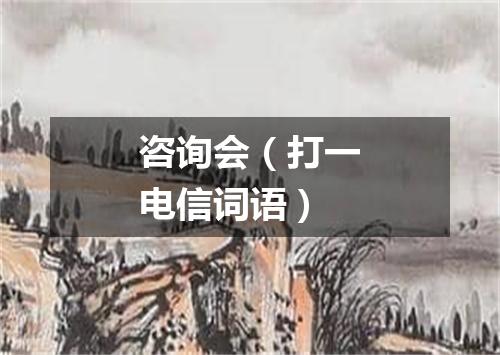 咨询会（打一电信词语）