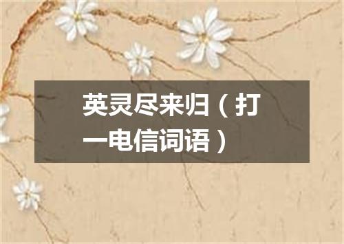 英灵尽来归（打一电信词语）