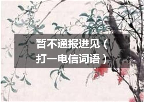 暂不通报进见（打一电信词语）