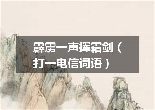 霹雳一声挥霜剑（打一电信词语）