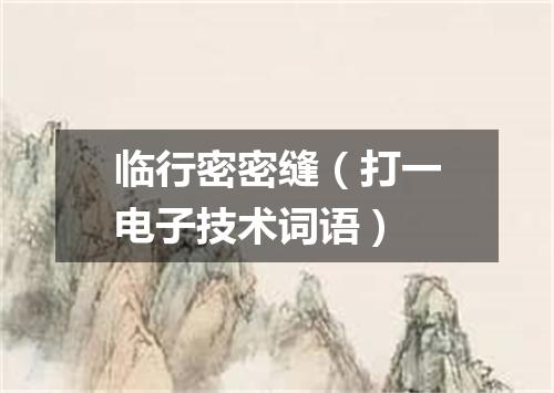 临行密密缝（打一电子技术词语）