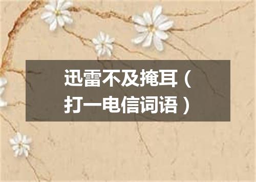 迅雷不及掩耳（打一电信词语）