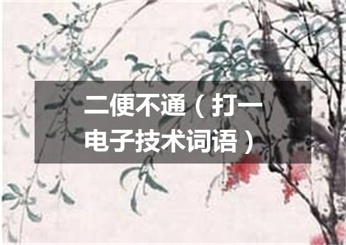 二便不通（打一电子技术词语）