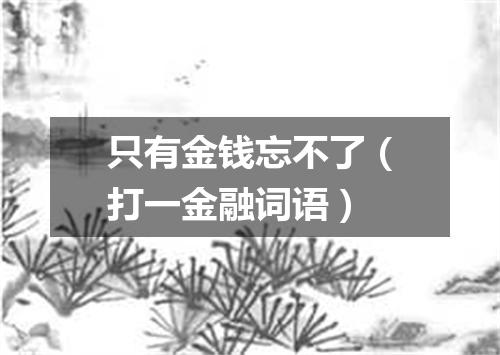 只有金钱忘不了（打一金融词语）