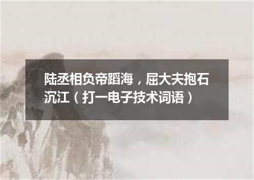 陆丞相负帝蹈海，屈大夫抱石沉江（打一电子技术词语）